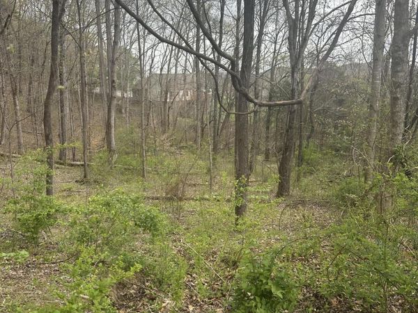 Mountain Grove Lane, Seymour, TN 37865