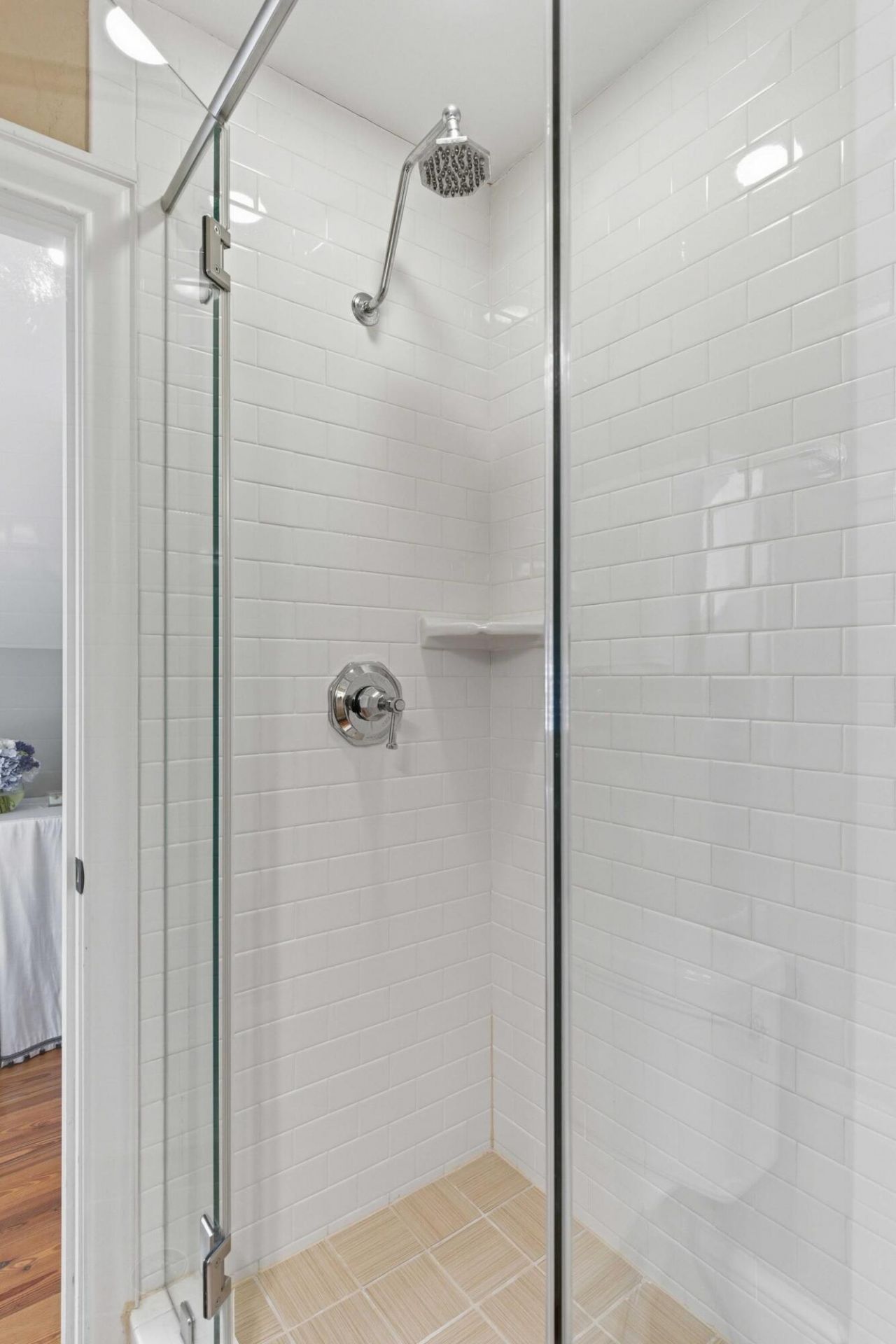 218 Venning Street Photo 42