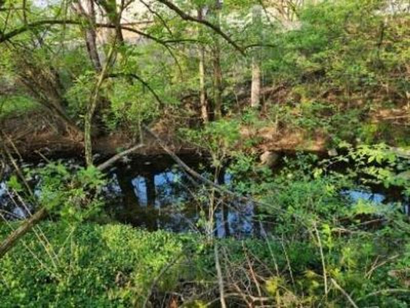 4263 Gavin Lane, Columbus, OH 43220 Photo 43