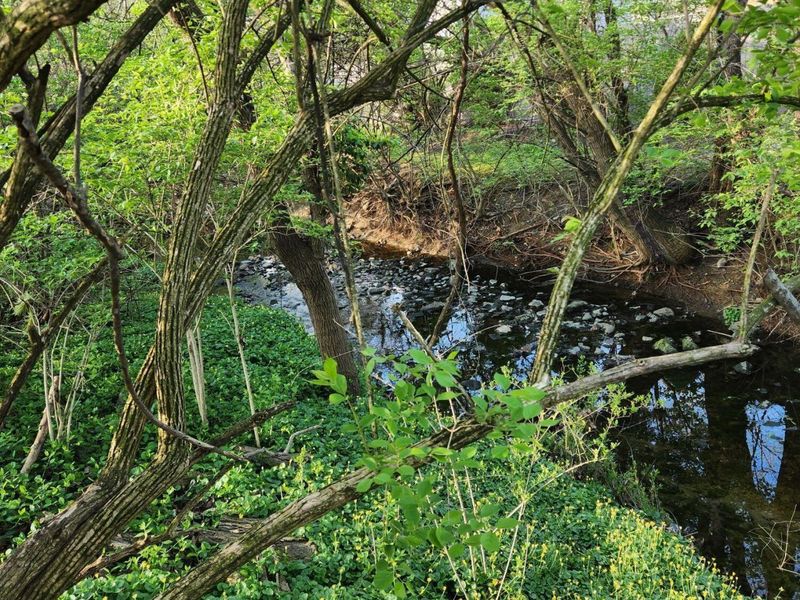 4263 Gavin Lane, Columbus, OH 43220 Photo 44