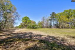 1749 Martin Luther King Boulevard  photo 4