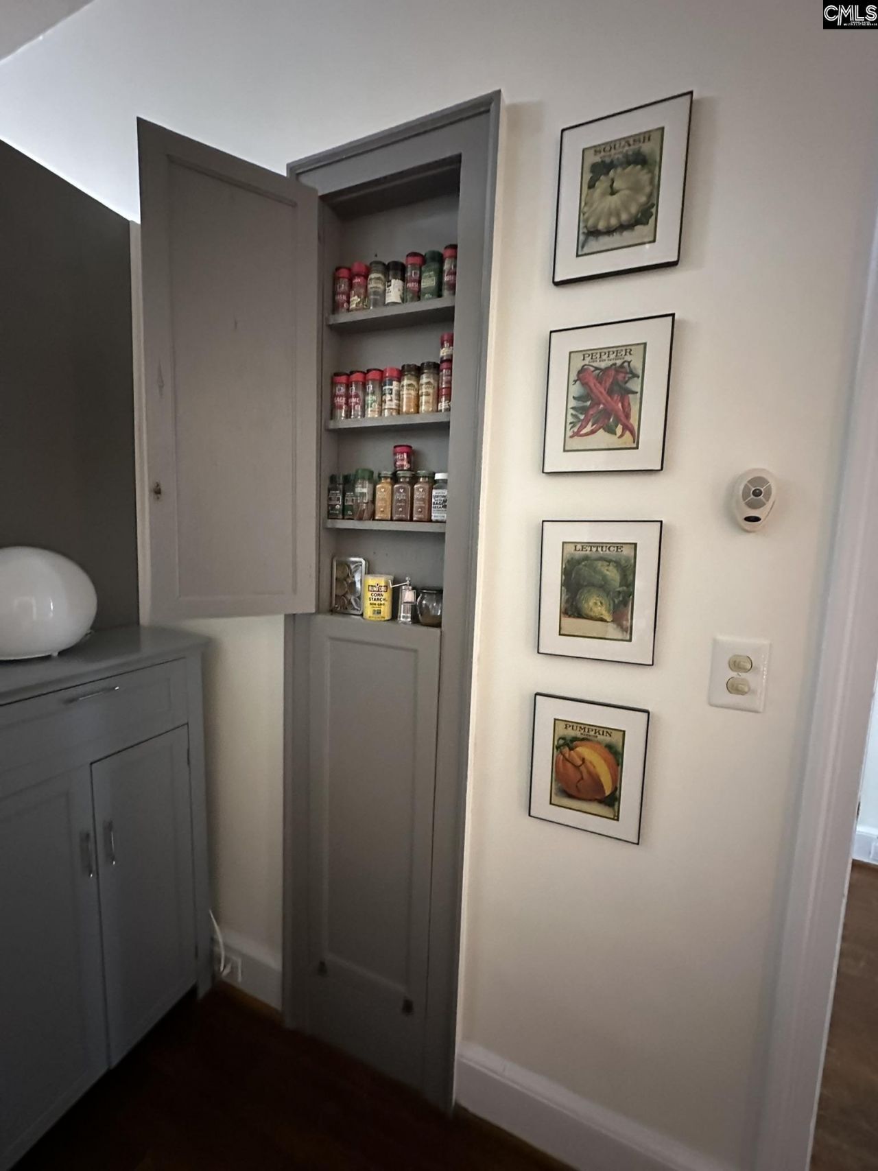 2603 Kiawah Avenue  Photo 18