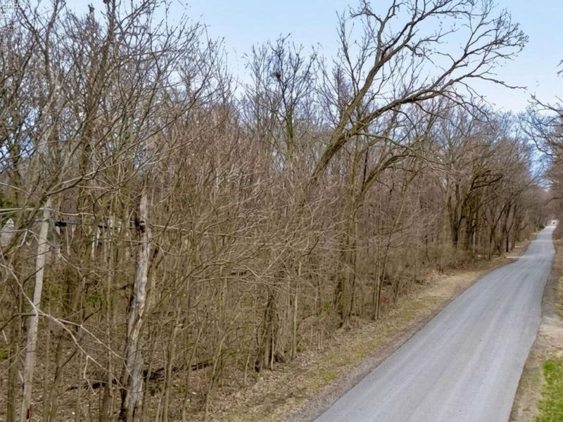 0 Trenton, Put in Bay, OH 43456 Photo 3