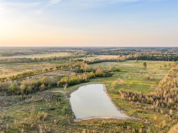 TBD FM 990, Simms, TX 75574