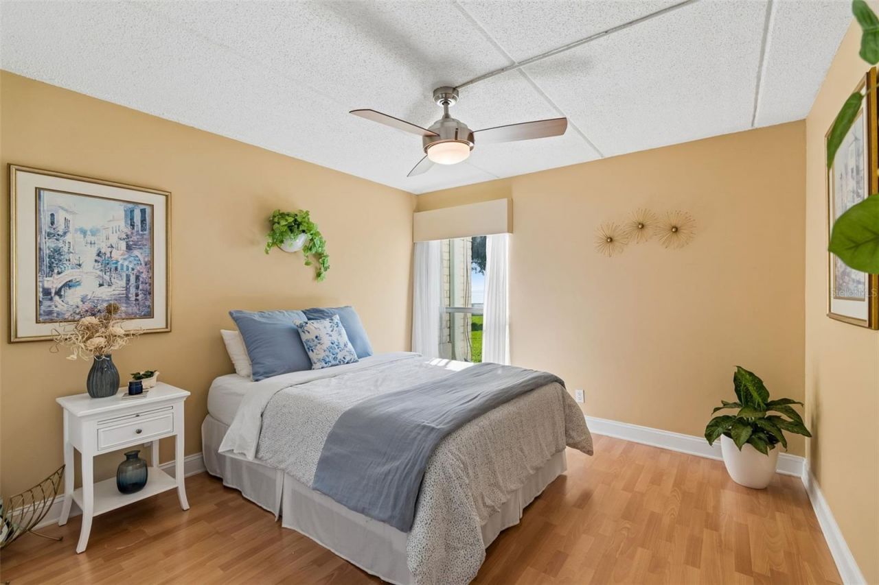 3325 Bayshore Boulevard, Unit A12, Tampa, FL 33629 Photo