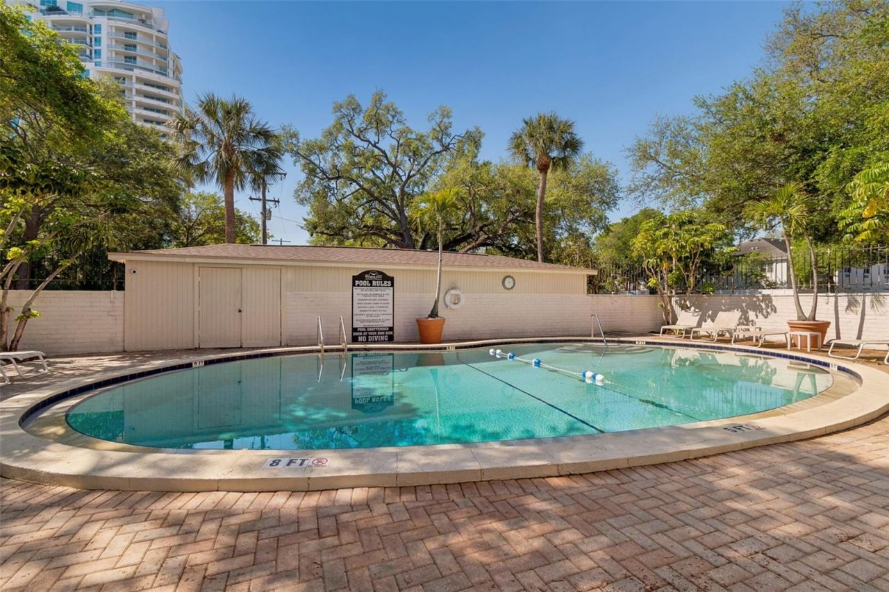3325 Bayshore Boulevard, Unit A12, Tampa, FL 33629 Photo
