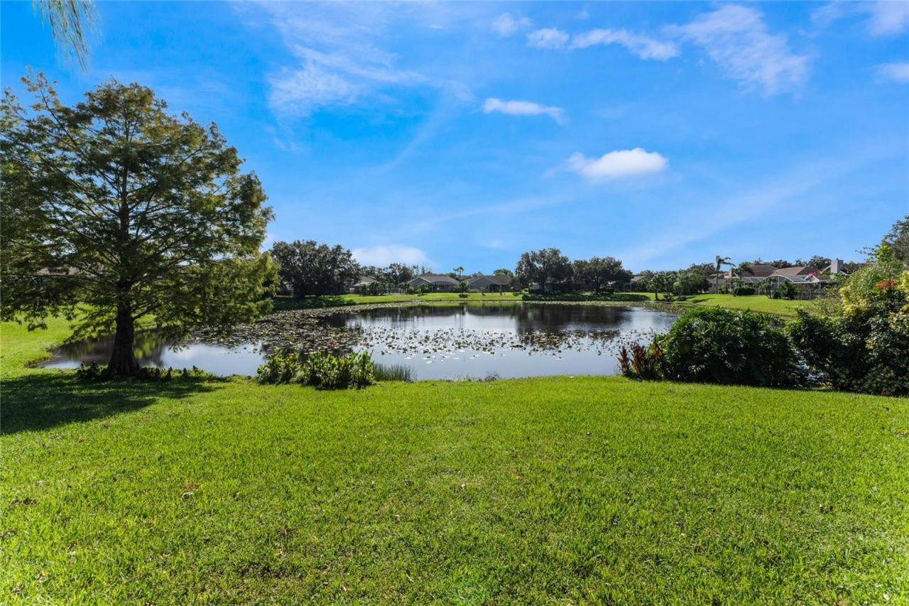 14310 Lord Barclay Drive, Orlando, FL 32837 Photo