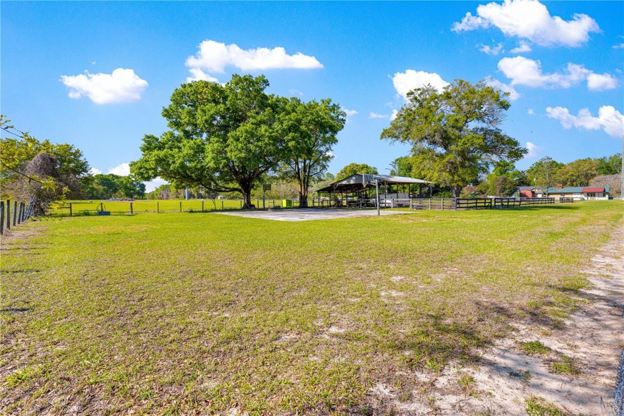 2940 NE 49th Street, Ocala, FL 34479 Photo