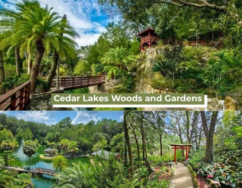 Ne 88th Street, Bronson, FL 32621 Photo