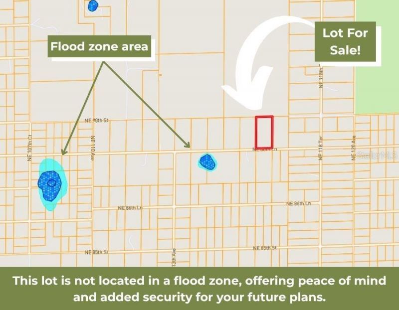 Ne 88th Street, Bronson, FL 32621 Photo