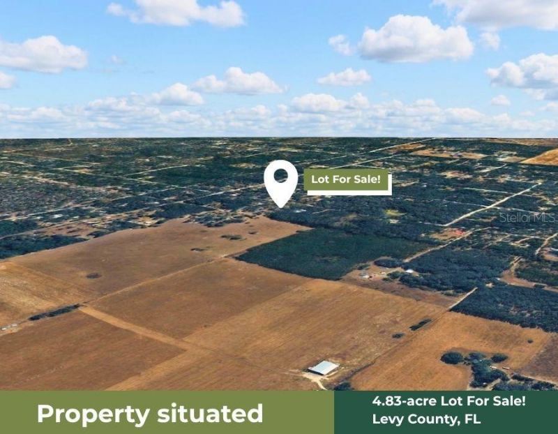 Ne 88th Street, Bronson, FL 32621 Photo