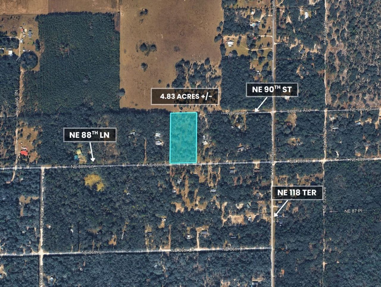 Ne 88th Street, Bronson, FL 32621 Photo