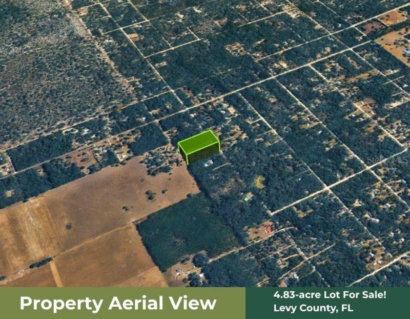 Ne 88th Street, Bronson, FL 32621 Photo