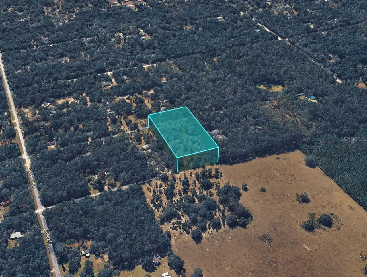 Ne 88th Street, Bronson, FL 32621 Photo