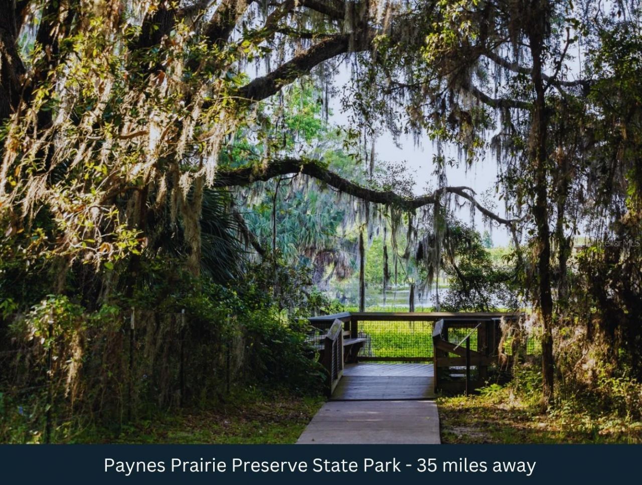 Ne 88th Street, Bronson, FL 32621 Photo