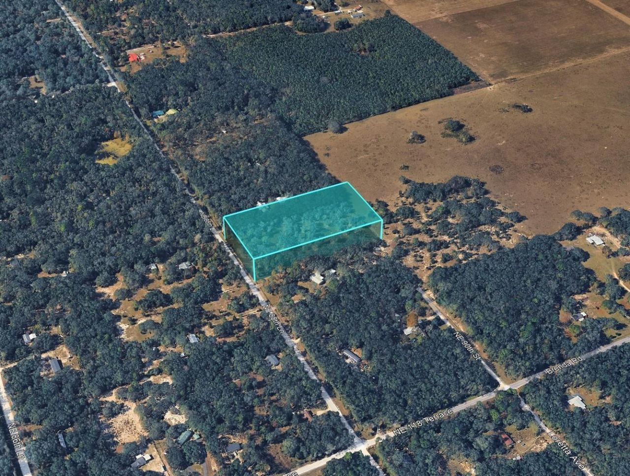 Ne 88th Street, Bronson, FL 32621 Photo