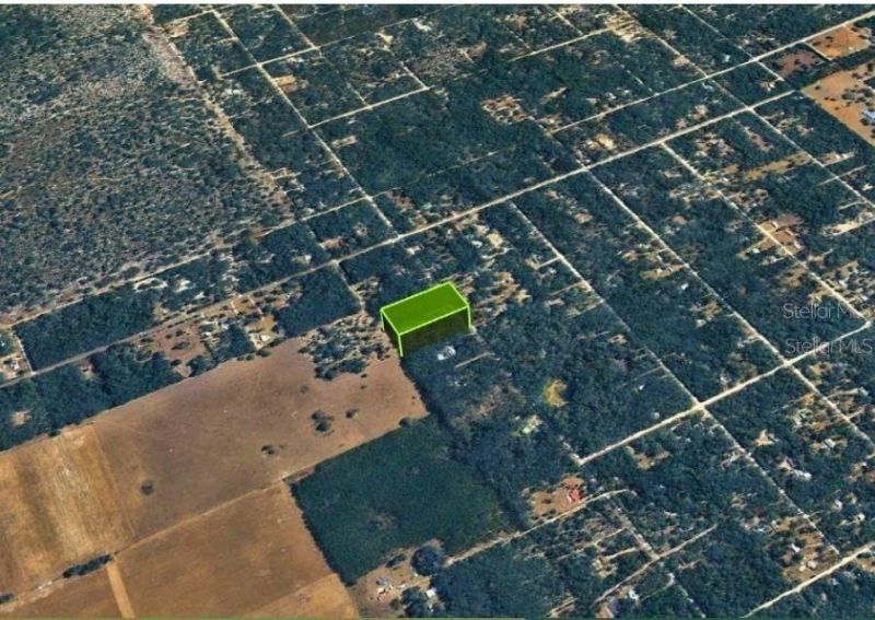 Ne 88th Street, Bronson, FL 32621 Photo