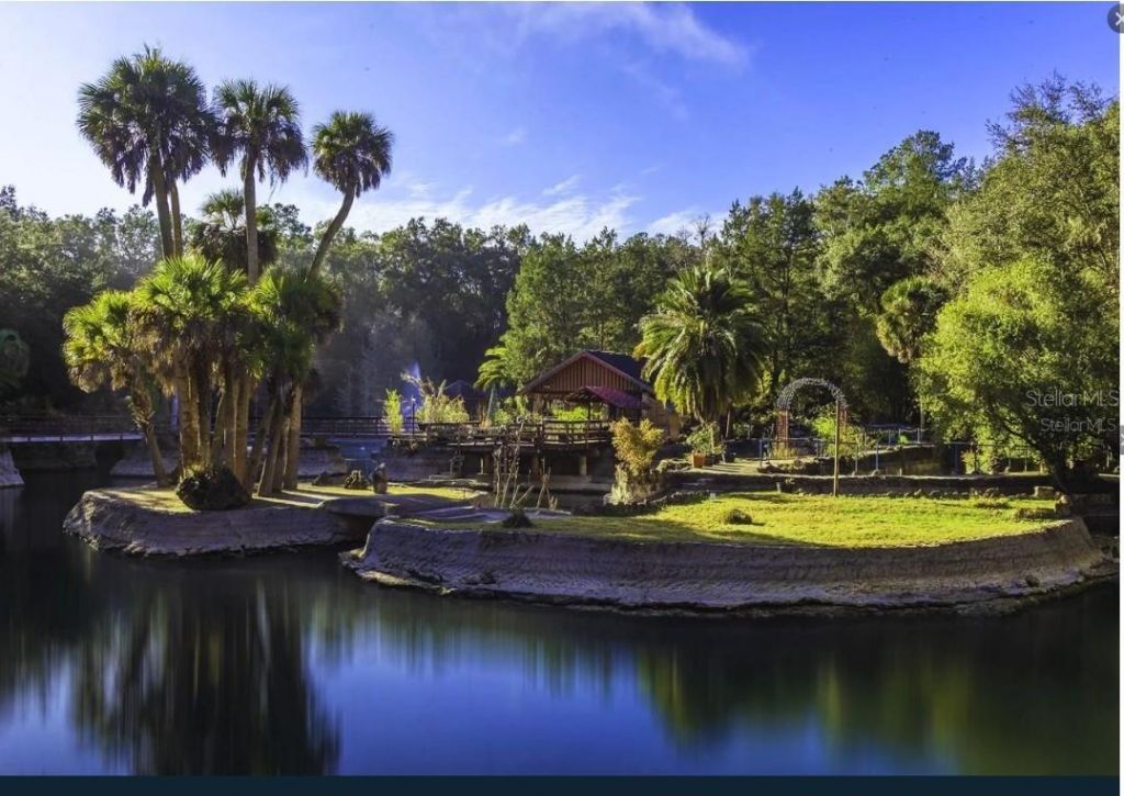 Ne 88th Street, Bronson, FL 32621 Photo