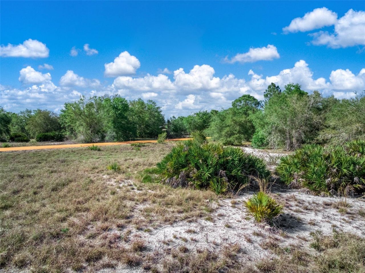 523 S Dickey Road, Avon Park, FL 33825 Photo
