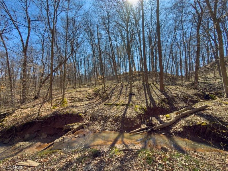 0 Stoneburner Road , Crooksville, OH 43731 Photo 10