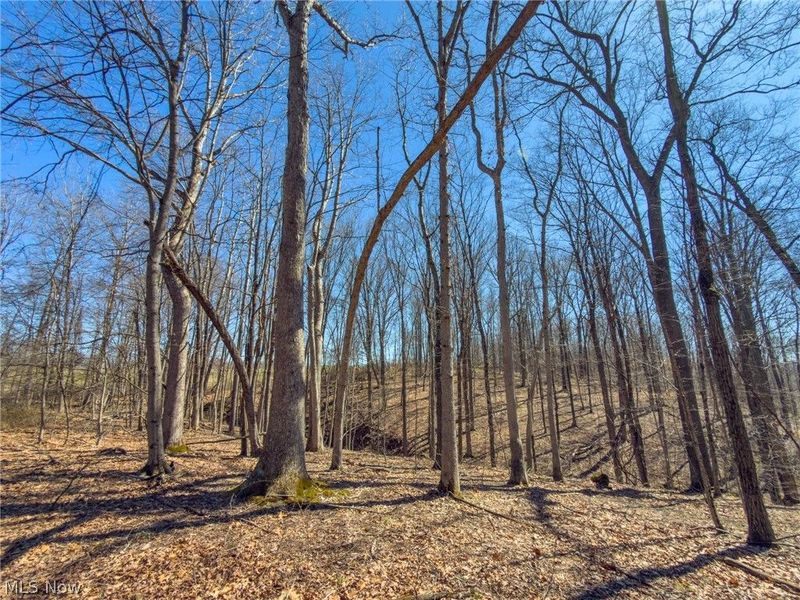 0 Stoneburner Road , Crooksville, OH 43731 Photo 11