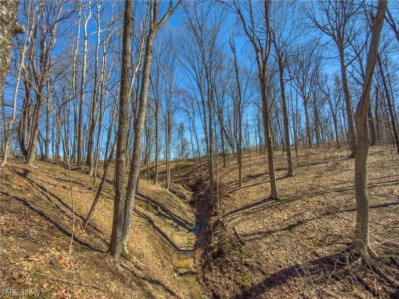 0 Stoneburner Road , Crooksville, OH 43731 Photo 12