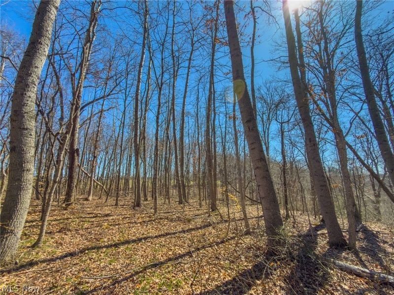 0 Stoneburner Road , Crooksville, OH 43731 Photo 13