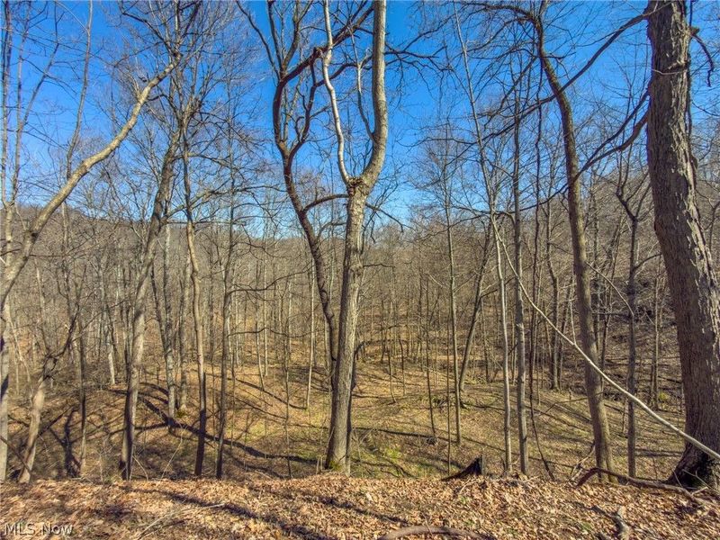 0 Stoneburner Road , Crooksville, OH 43731 Photo 21