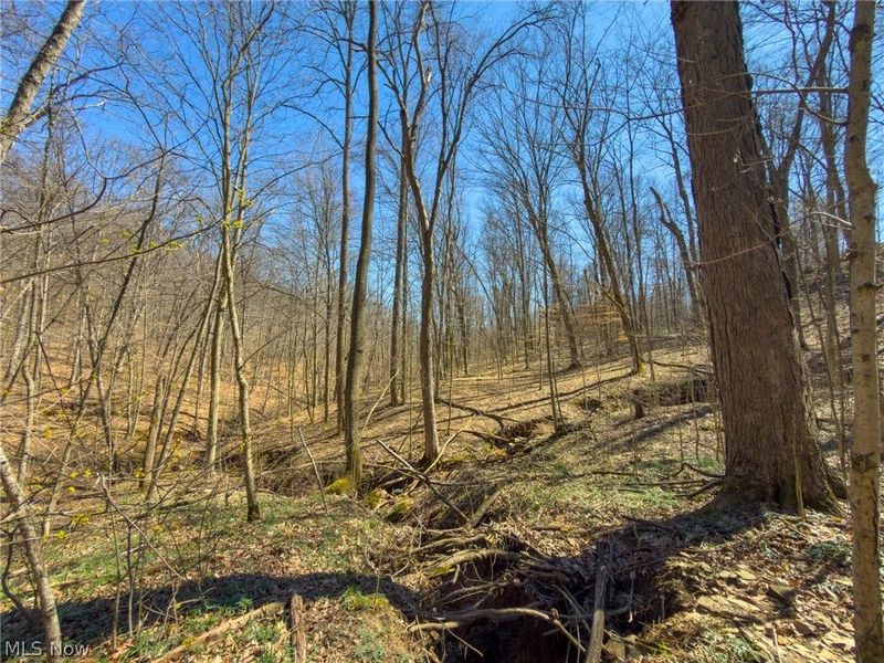 0 Stoneburner Road , Crooksville, OH 43731 Photo 23