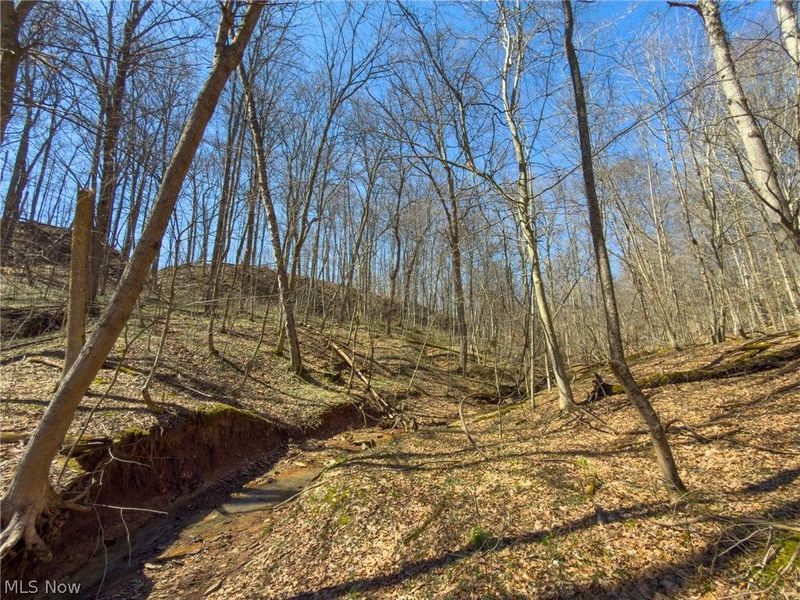 0 Stoneburner Road , Crooksville, OH 43731 Photo 24