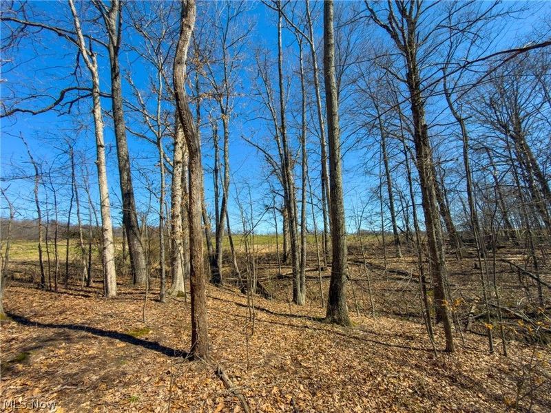 0 Stoneburner Road , Crooksville, OH 43731 Photo 25