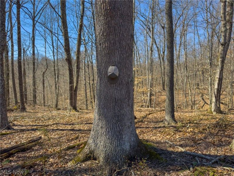 0 Stoneburner Road , Crooksville, OH 43731 Photo 4