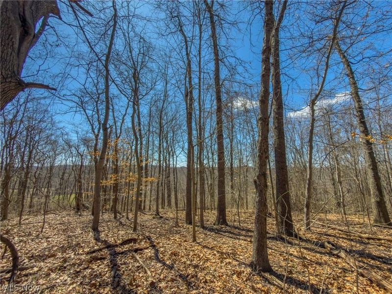 0 Stoneburner Road , Crooksville, OH 43731 Photo 5