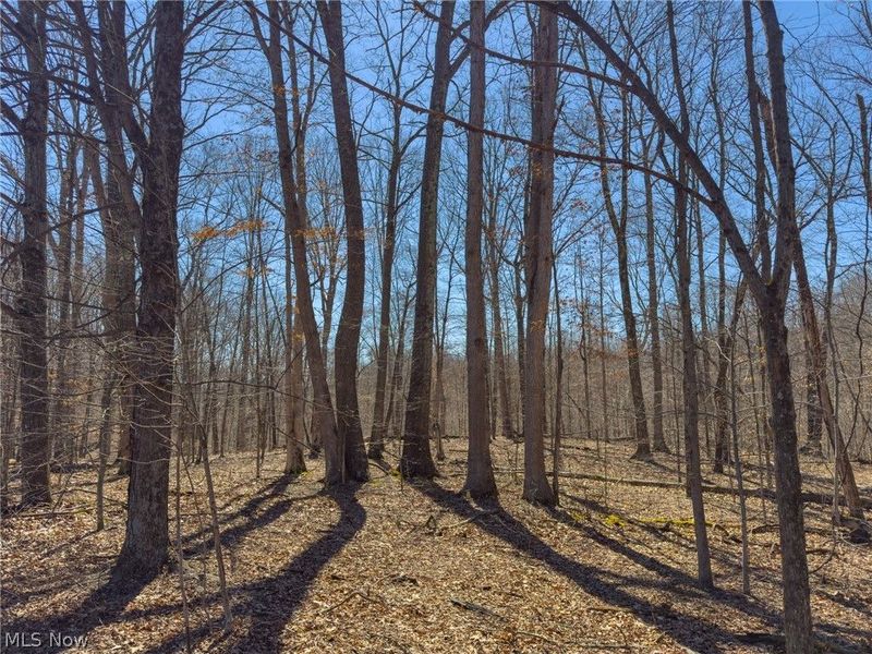 0 Stoneburner Road , Crooksville, OH 43731 Photo 7