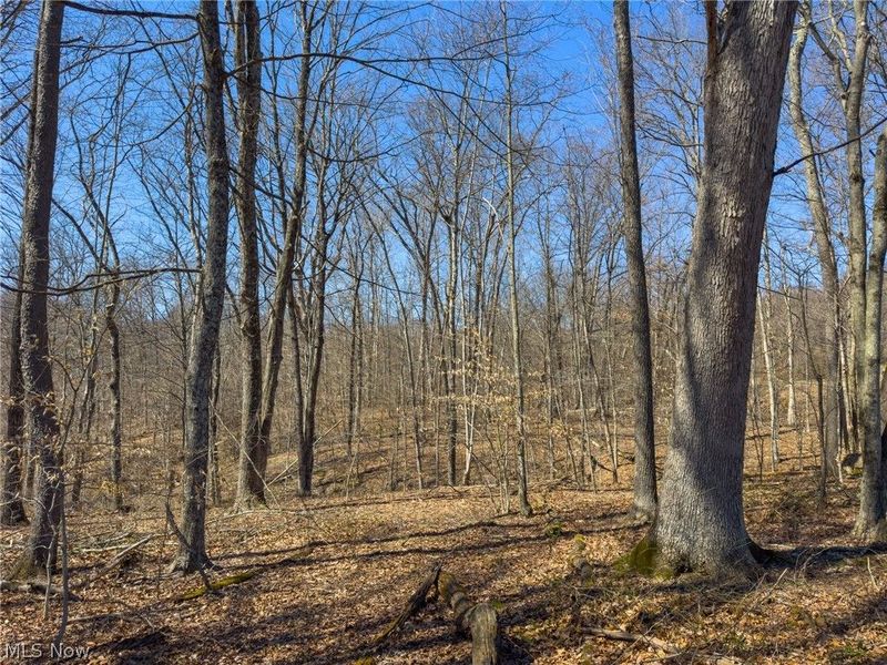 0 Stoneburner Road , Crooksville, OH 43731 Photo 8