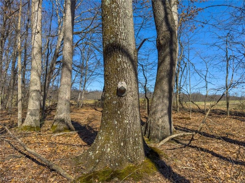 0 Stoneburner Road , Crooksville, OH 43731 Photo 9