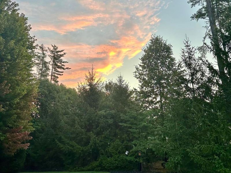 5564 Willow Bend Court , Westerville, OH 43082 Photo 23