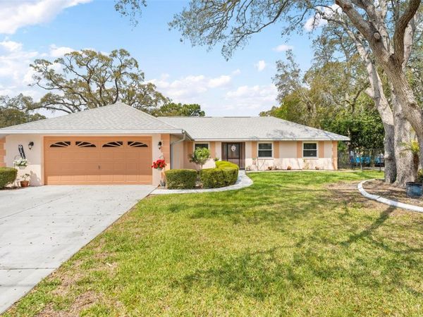 9111 BLAINE ROAD , SPRING HILL, FL 34608