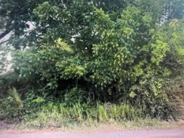 1927 Muncie Avenue, Dallas, TX 75212