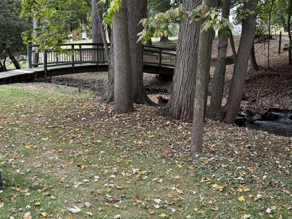 202 Mable Court, Mason, MI 48854