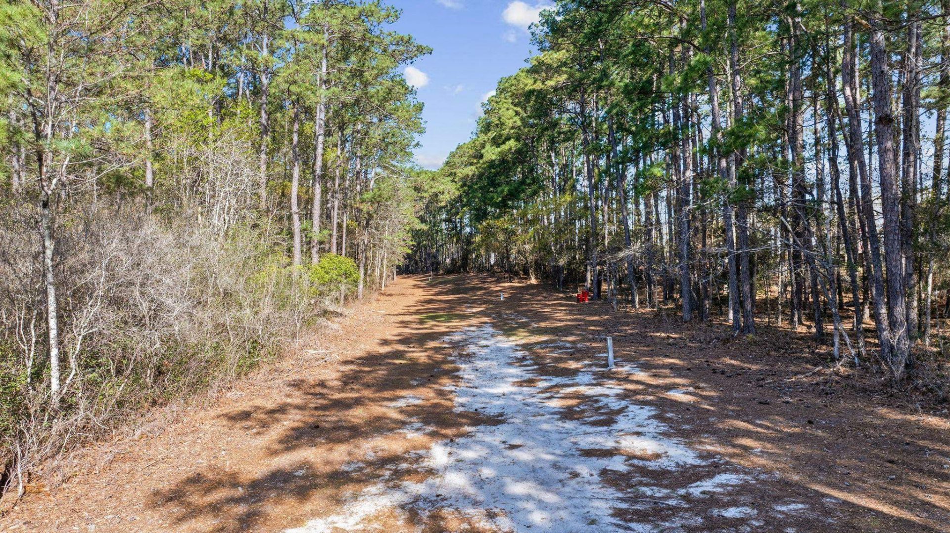 3725 Park Pointe Ave. Photo 40