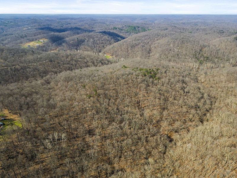 23972 Brown Road, Unit Lot 1, South Bloomingville, OH 43152 Photo 19