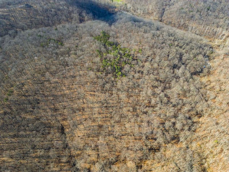 23972 Brown Road, Unit Lot 1, South Bloomingville, OH 43152 Photo 24