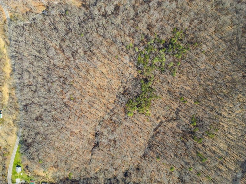 23972 Brown Road, Unit Lot 1, South Bloomingville, OH 43152 Photo 30