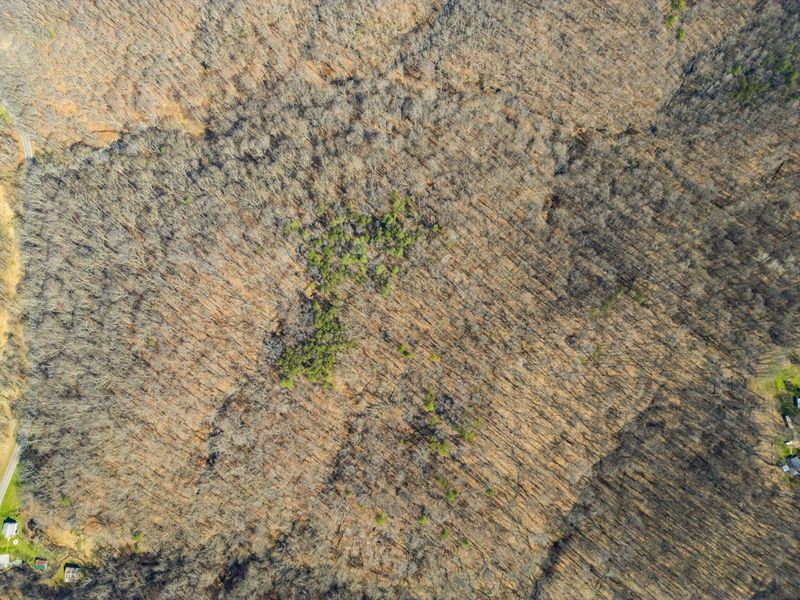 23972 Brown Road, Unit Lot 1, South Bloomingville, OH 43152 Photo 31