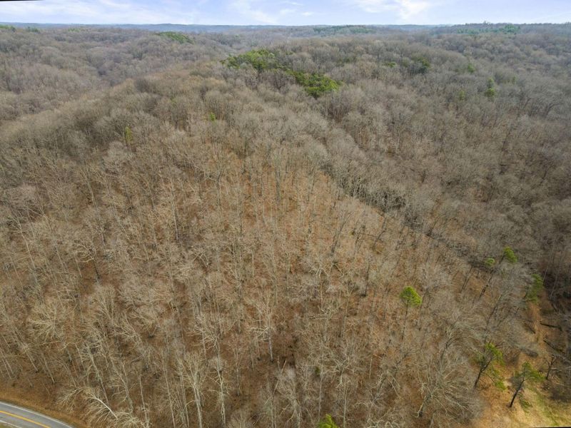 23972 Brown Road, Unit Lot 1, South Bloomingville, OH 43152 Photo 40