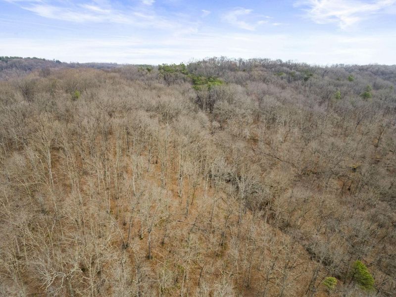 23972 Brown Road, Unit Lot 1, South Bloomingville, OH 43152 Photo 41