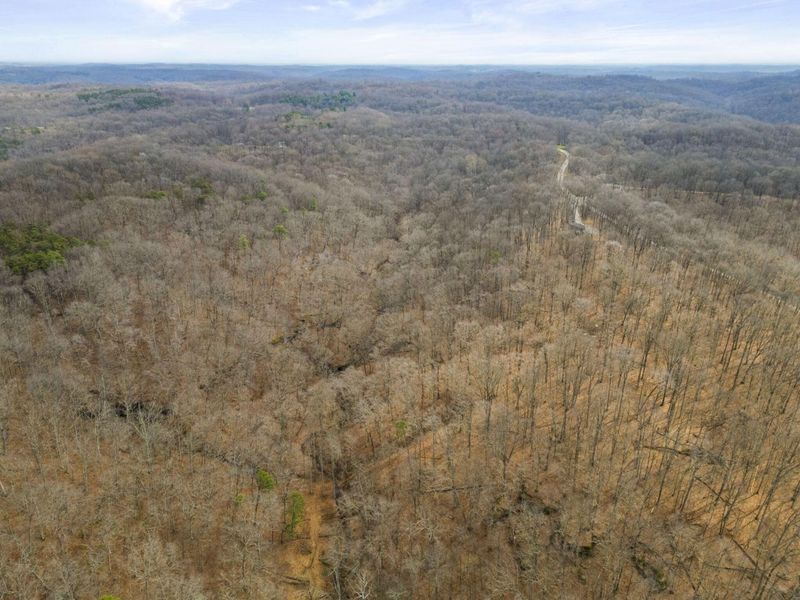 23972 Brown Road, Unit Lot 1, South Bloomingville, OH 43152 Photo 49