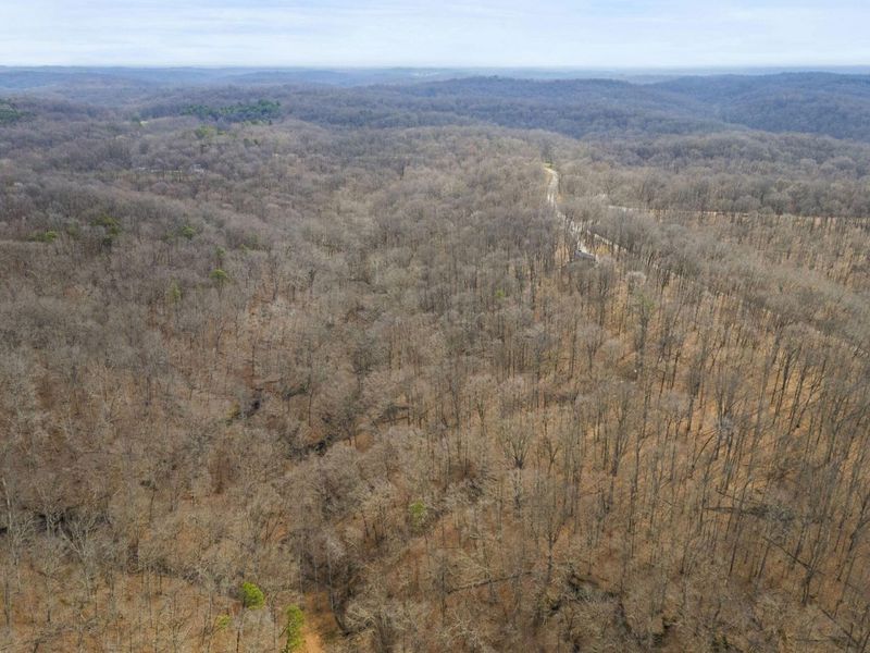 23972 Brown Road, Unit Lot 1, South Bloomingville, OH 43152 Photo 51