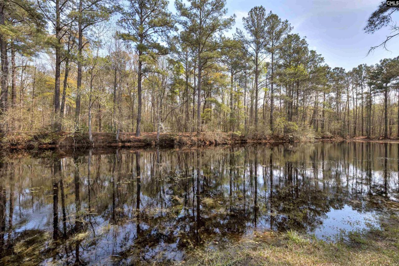 2341 Old Whites Mill Road Photo 54